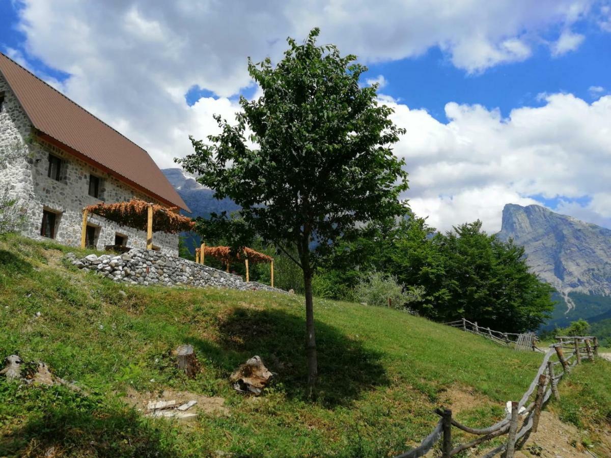 Guest House Panorama Тет Екстериор снимка
